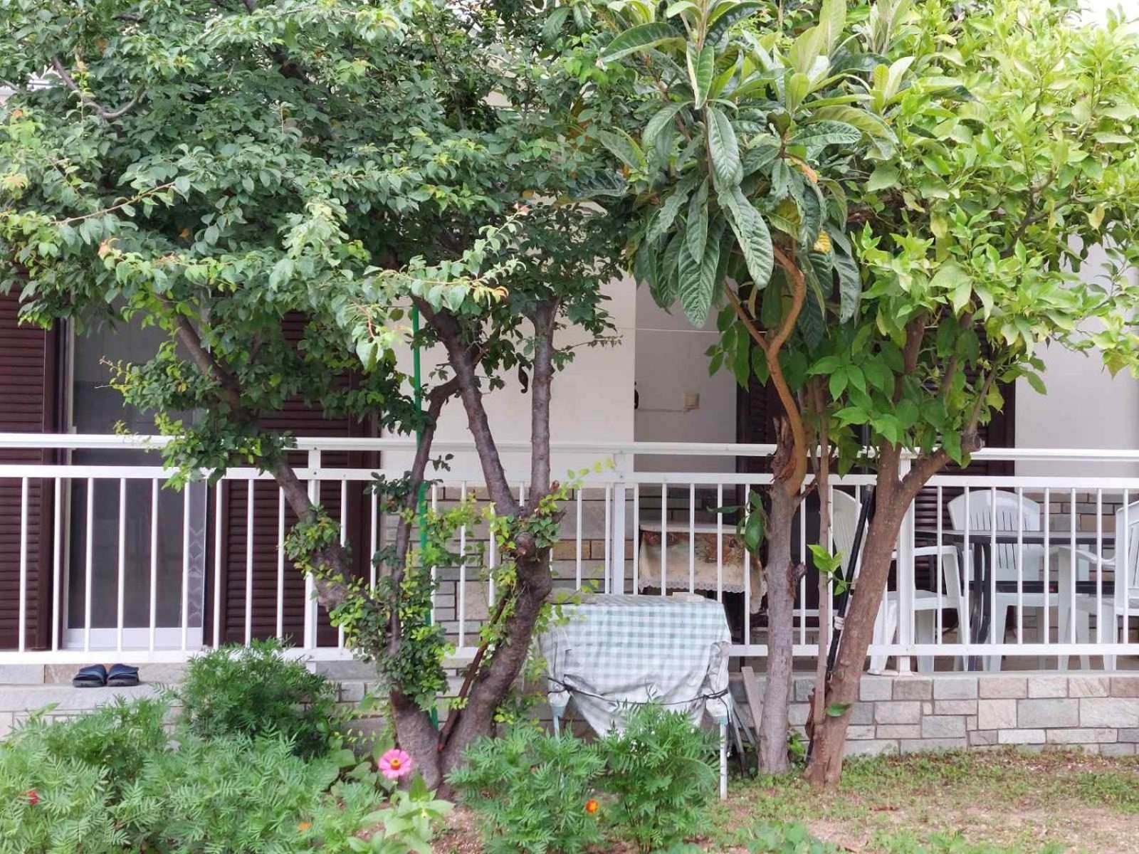 Apartment Kipos Nea Iraklitsa